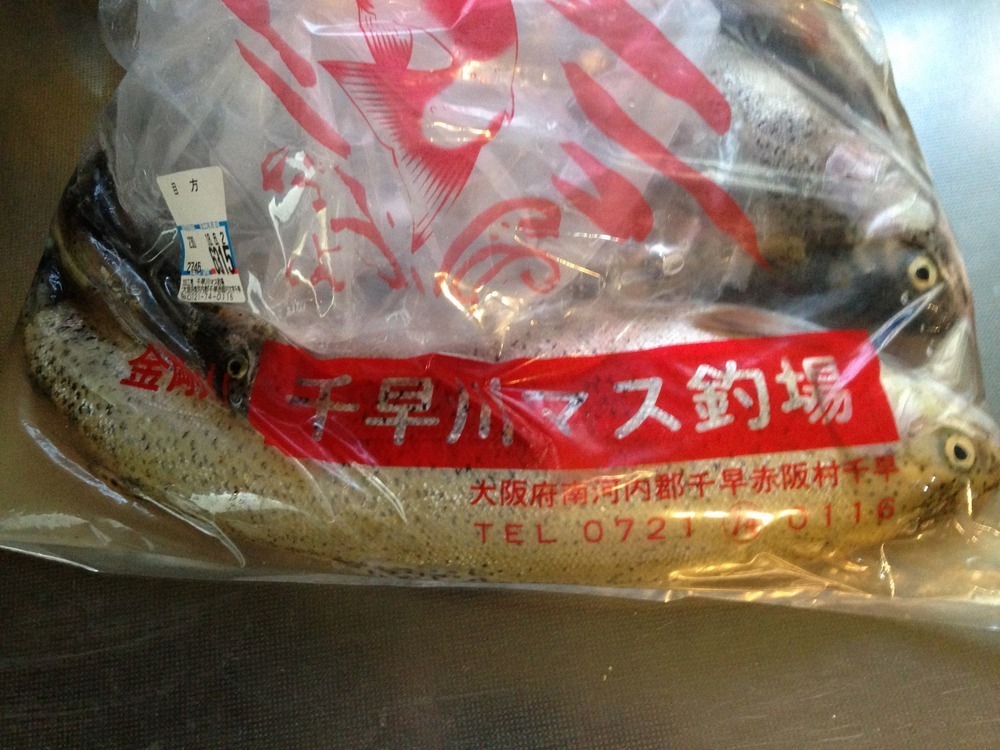 千早川マス釣り場