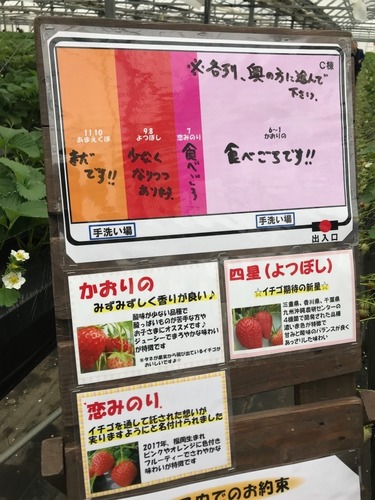 山口 花の海 いちご狩りに野菜収穫 動物えさやり 子育て日記 室内施設 こどもの遊び場を紹介